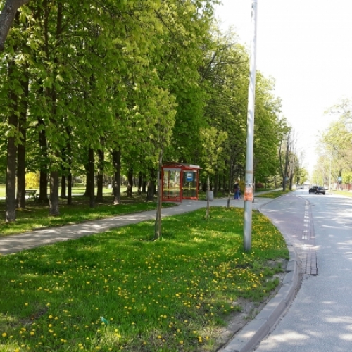 Kadr 3